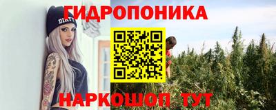 молекула духа Усть-Джегута