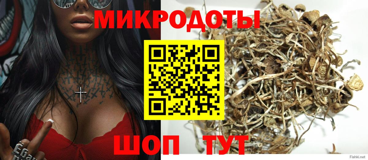Псилоцибиновые грибы мухоморы  Вход с VPN  Галлюциногенные грибы Magic Shrooms  наркота  Нальчик 