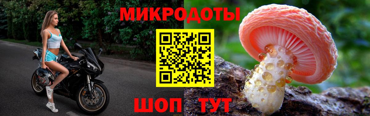 Псилоцибиновые грибы прущие грибы Нальчик