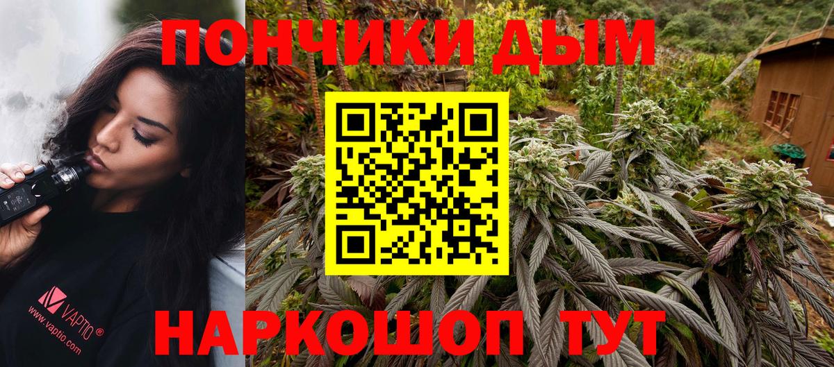 Бошки марихуана сатива Нальчик